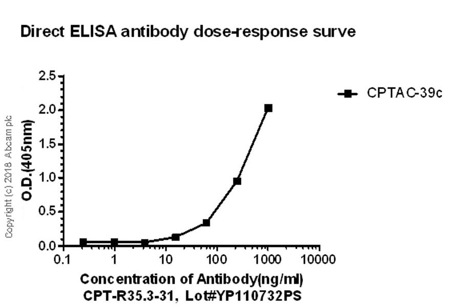 ELISA - Anti-Thyroglobulin antibody [CPT-R35.3-31] - BSA and Azide free (AB245205), expandable thumbnail