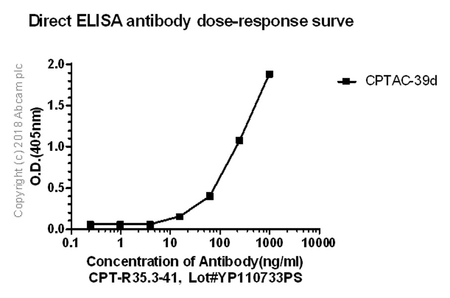 ELISA - Anti-Thyroglobulin antibody [CPT-R35.3-41] - BSA and Azide free (AB245206), expandable thumbnail