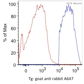 Flow Cytometry (Intracellular) - Anti-Thyroglobulin antibody [EPR9730] (ab156008), expandable thumbnail