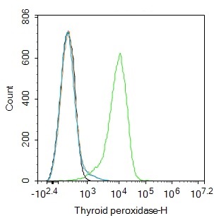 Flow Cytometry - Anti-Thyroid Peroxidase/TPO antibody (AB203057)