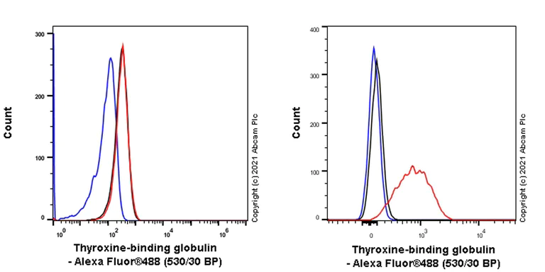 Flow Cytometry (Intracellular) - Anti-Thyroxine Binding Globulin antibody [EPR24453-121] - BSA and Azide free (AB280962)