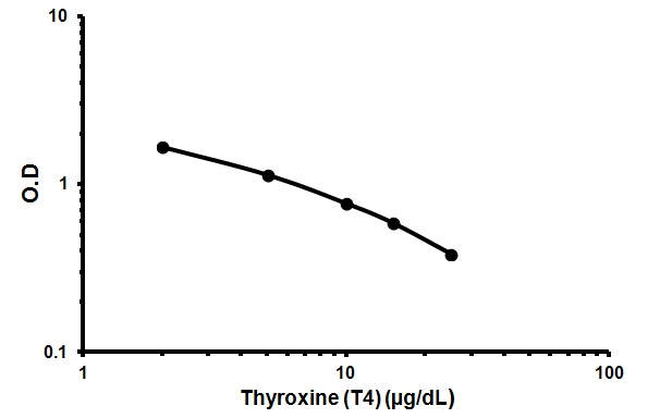 Competitive ELISA - Thyroxine (Total T4) ELISA Kit (AB178664)