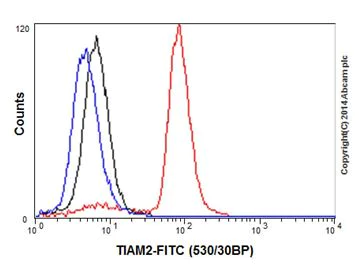 Flow Cytometry (Intracellular) - Anti-TIAM2 antibody [EPR16838] (AB199426)