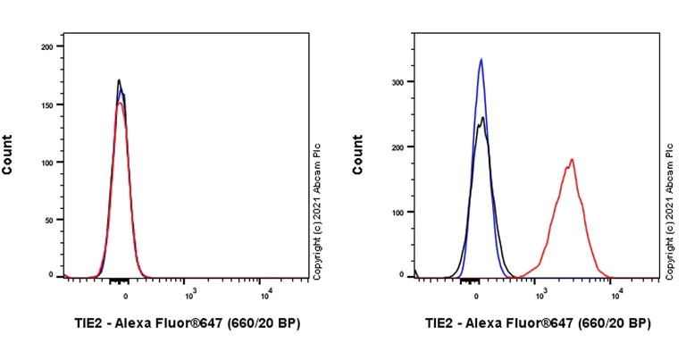 Flow Cytometry - Anti-TIE2 antibody [33] - BSA and Azide free (AB280902)