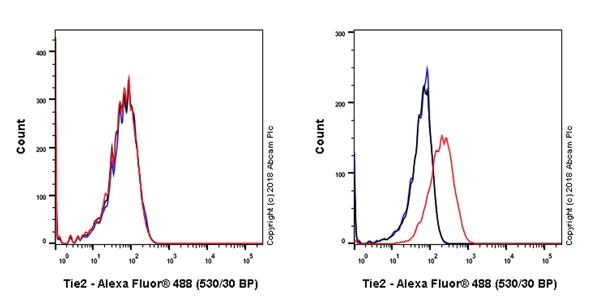 Flow Cytometry - Anti-TIE2 antibody [EPR21915] (AB221154)