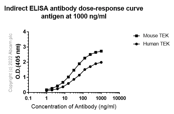 Indirect ELISA - Anti-TIE2 antibody [EPR21915] (AB221154)