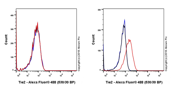 Flow Cytometry - Anti-TIE2 antibody [EPR21915] - BSA and Azide free (AB238172)