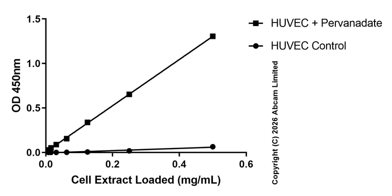 Sandwich ELISA - Anti-TIE2 (phospho Y992) antibody [EPR27958-1] - BSA and Azide free (Capture) (AB325593)