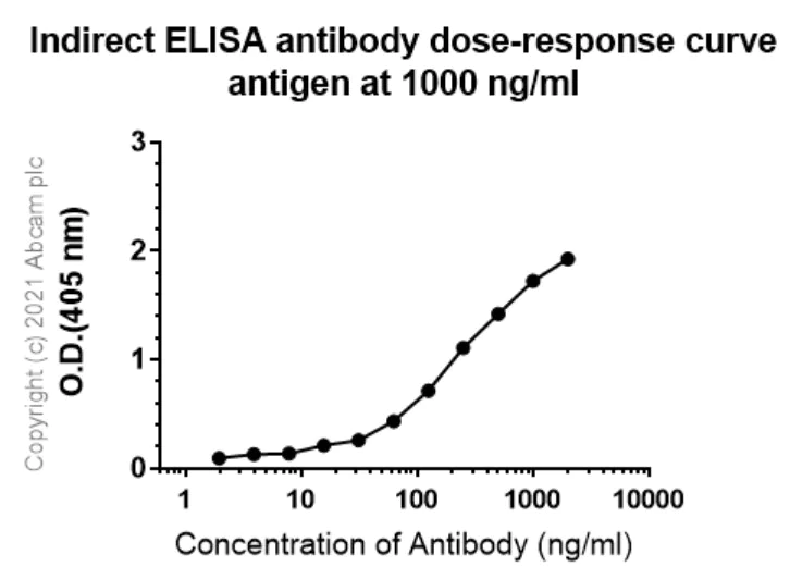 Indirect ELISA - Anti-TIGIT antibody [4D4] (BSA and Azide free) (AB289557)