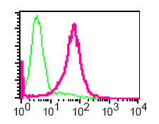 Flow Cytometry - Anti-TIL/TLR1 antibody [EPR2075] (AB68158), expandable thumbnail