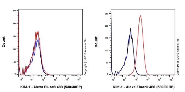 Flow Cytometry - Anti-TIM 1 antibody [EPR17561-22] - BSA and Azide free (AB252385), expandable thumbnail
