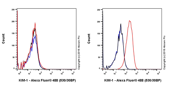 Flow Cytometry - Anti-TIM 1 antibody [EPR17561-27] (AB184106)