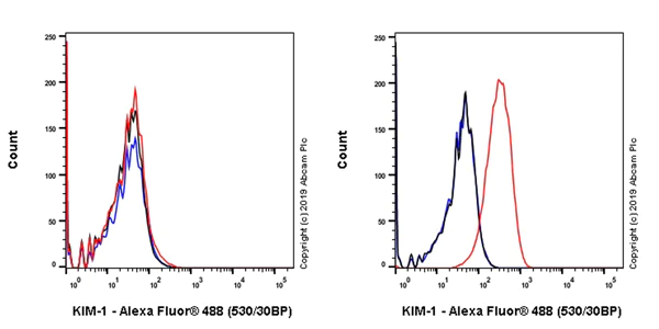 Flow Cytometry - Anti-TIM 1 antibody [EPR17561-27] (AB184106)