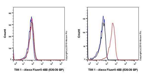 Flow Cytometry - Anti-TIM 1 antibody [EPR22650-136] (AB228973), expandable thumbnail