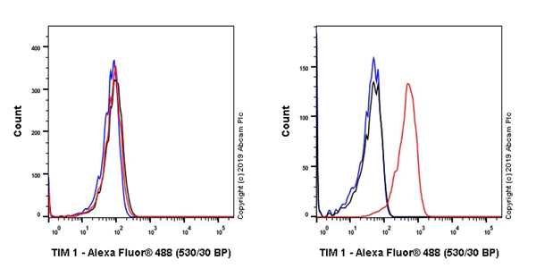 Flow Cytometry - Anti-TIM 1 antibody [EPR22650-136] - BSA and Azide free (AB256484)