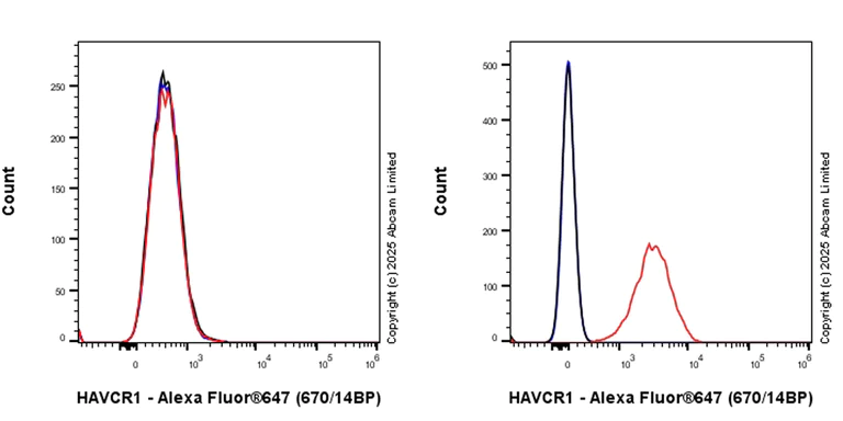 Flow Cytometry - Anti-TIM 1 antibody [EPR28341-72] (AB316854)