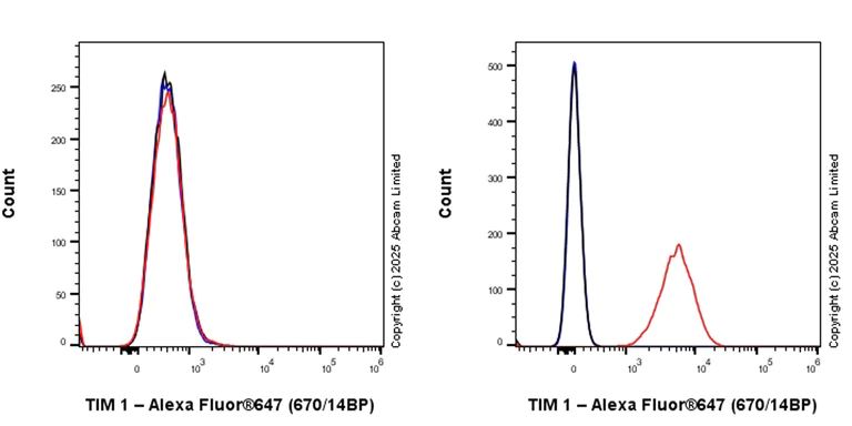 Flow Cytometry - Anti-TIM 1 antibody [RM1294] (AB323414)