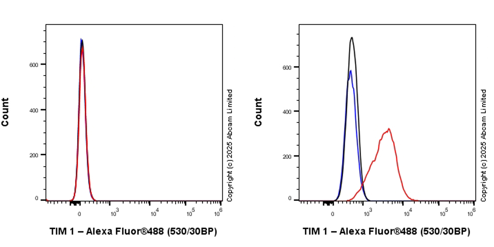 Flow Cytometry - Anti-TIM 1 antibody [RM1294] (ab323414), expandable thumbnail