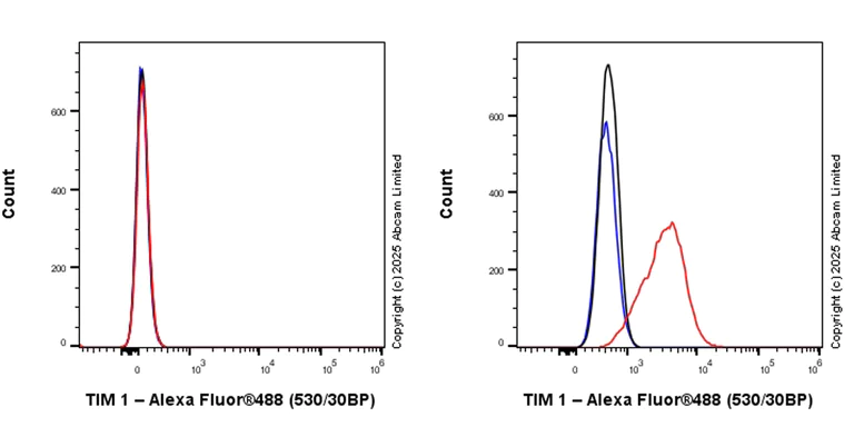 Flow Cytometry - Anti-TIM 1 antibody [RM1294] (AB323414)