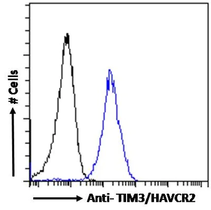 Flow Cytometry - Anti-TIM 3 antibody (AB47997)