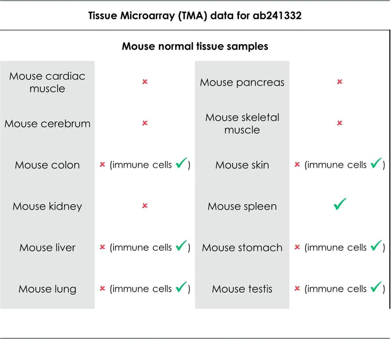 Immunohistochemistry (Formalin/PFA-fixed paraffin-embedded sections) - Anti-TIM 3 antibody [EPR22241] (AB241332)