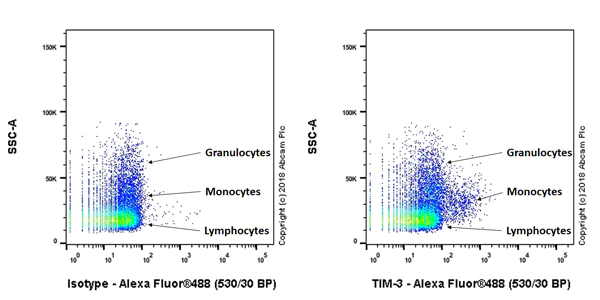 Flow Cytometry - Anti-TIM 3 antibody [EPR22285-13] (AB245941)