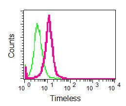 Flow Cytometry (Intracellular) - Anti-Timeless antibody [EPR5274(2)] (AB133569), expandable thumbnail