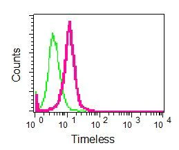 Flow Cytometry (Intracellular) - Anti-Timeless antibody [EPR5274(2)] - BSA and Azide free (AB248557)