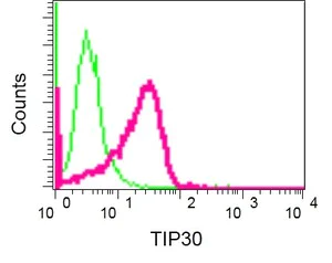 Flow Cytometry (Intracellular) - Anti-TIP30 antibody [EPR13185] - BSA and Azide free (AB250501)