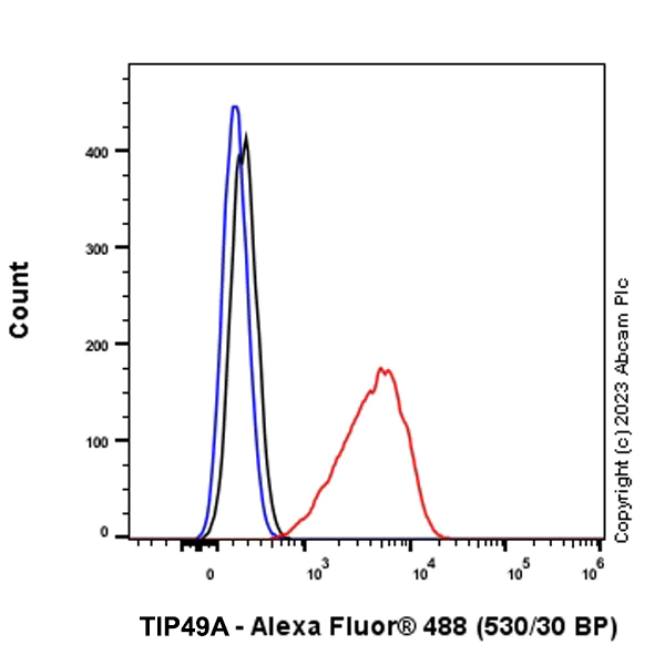 Flow Cytometry (Intracellular) - Anti-TIP49A antibody [EPR28169-31] - BSA and Azide free (AB316005)