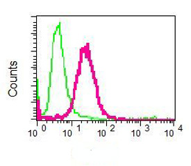 Flow Cytometry (Intracellular) - Anti-TIP49A antibody [EPR6028] (AB133513)