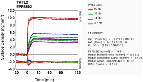 OI-RD Scanning - Anti-TKTL2 antibody [EPR8592] (AB131331)