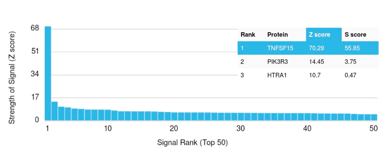 Protein Array - Anti-TL1A antibody [VEGI/2052R] (AB234307)