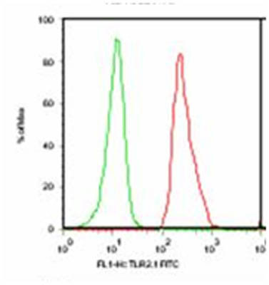 Flow Cytometry - Anti-TLR2 antibody [TL2.1] (AB9100)