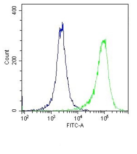 Flow Cytometry - Anti-TLR4 antibody (AB13556)