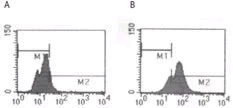 Flow Cytometry (Intracellular) - Anti-TLR5 antibody [19D759.2] (AB13876)