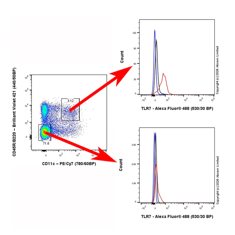Flow Cytometry (Intracellular) - Anti-TLR7 antibody [EPR26195-250] - BSA and Azide free (AB325756)