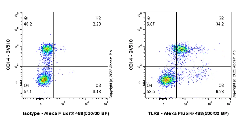 Flow Cytometry (Intracellular) - Anti-TLR8 antibody [EPR24499-48] (AB300429)