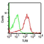 Flow Cytometry (Intracellular) - Anti-TLR9 antibody [26C593.2] (AB134368)