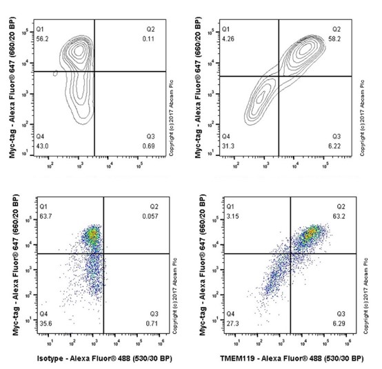 Flow Cytometry - Anti-TMEM119 antibody [106-6] - Microglial marker - BSA and Azide free (AB220249), expandable thumbnail