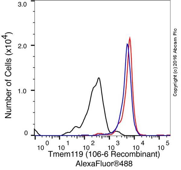 Flow Cytometry - Anti-TMEM119 antibody [106-6] - Microglial marker - BSA and Azide free (AB220249), expandable thumbnail