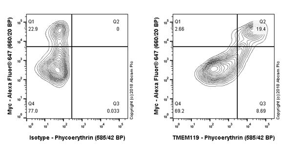 Flow Cytometry (Intracellular) - Anti-TMEM119 antibody [106-6] - Microglial marker - BSA and Azide free (AB220249), expandable thumbnail
