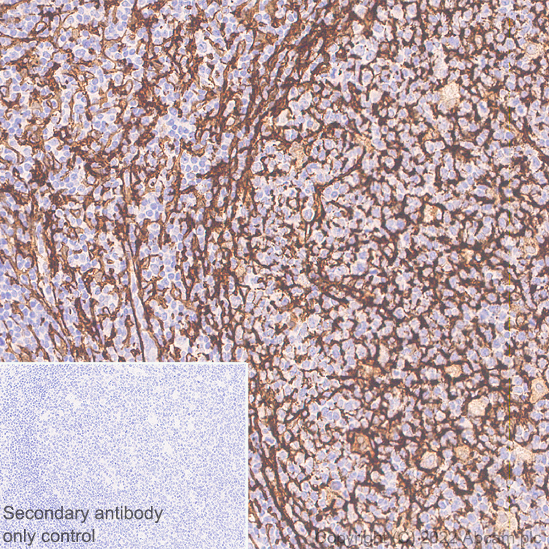 Immunohistochemistry (Formalin/PFA-fixed paraffin-embedded sections) - Anti-TMEM119 antibody [EPR25865-89] - Microglial marker (AB306583), expandable thumbnail