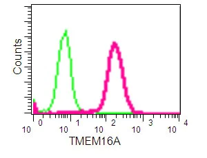 Flow Cytometry (Intracellular) - Anti-TMEM16A antibody [EPR10643(2)] - BSA and Azide free (AB251044)