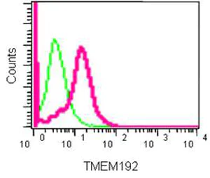 Flow Cytometry (Intracellular) - Anti-TMEM192 antibody [EPR14330] - BSA and Azide free (AB250834)