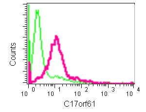 Flow Cytometry (Intracellular) - Anti-TMEM256 antibody [EPR12842] - BSA and Azide free (AB250454)