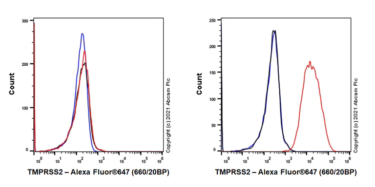 Flow Cytometry - Anti-TMPRSS2 antibody [EPR24407-87] - BSA and Azide free (AB280569)