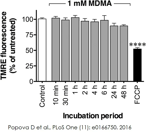 Functional Studies - TMRE-Mitochondrial Membrane Potential Assay Kit (AB113852)