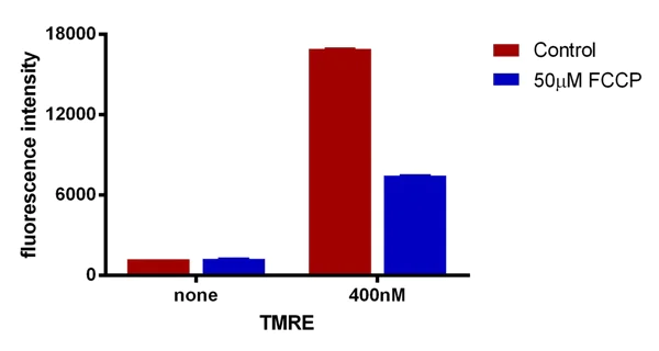Functional Studies - TMRE-Mitochondrial Membrane Potential Assay Kit (AB113852)