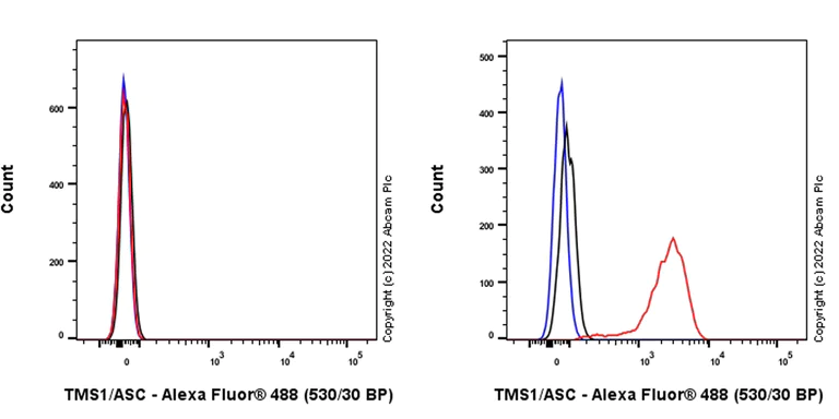 Flow Cytometry (Intracellular) - Anti-TMS1/ASC antibody [EPR28201-61] - BSA and Azide free (AB307561)